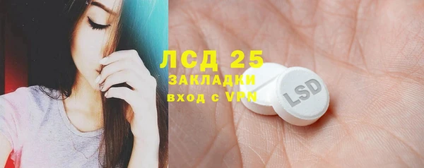 индика Майский