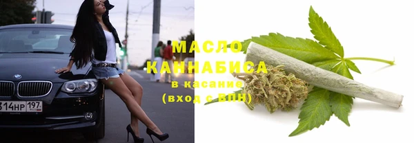 индика Майский