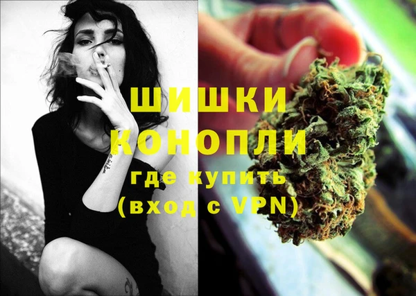 индика Майский