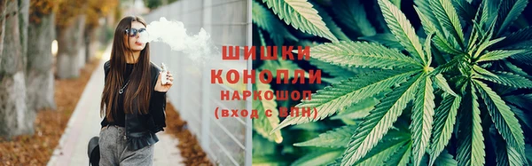 индика Майский