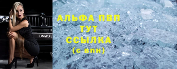 индика Майский